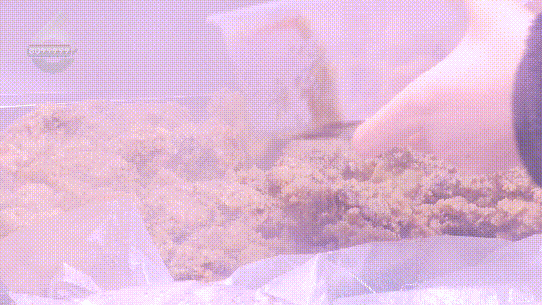！这些御寒姿势总有一款适合你麻将胡了2试玩热腾腾、暖融融(图12)