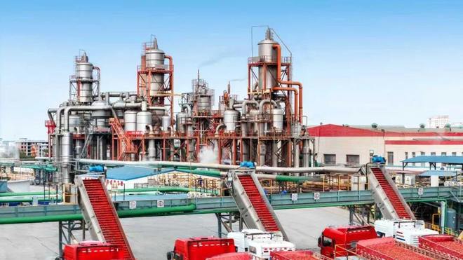 后是番茄“全产业链”的胜利麻将胡了番茄风味爆火的背(图5)