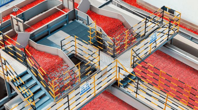 后是番茄“全产业链”的胜利麻将胡了番茄风味爆火的背(图11)